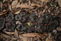 C1635130-4F1C-4FC1-B37D-F974BCBF32E2