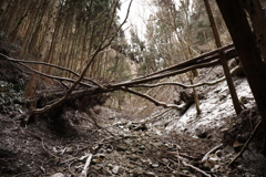 A9FA5DA8-336B-46C9-9BBB-2AE7BA5949FD