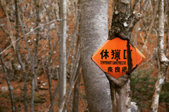 429AD0E4-38A3-41CF-8718-B95A2E30B505