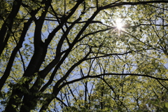 0960B527-4580-4F79-98F3-E0A427B933FC