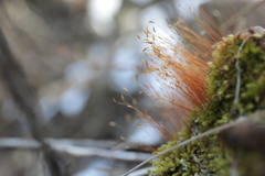 2495C662-4C9A-46BB-B797-41EFC2EEC09B