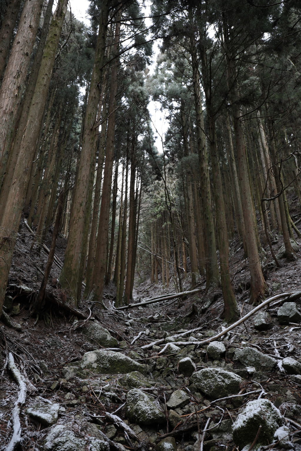 BDBFA1A5-0301-4AB9-A0A3-0F2016E95478