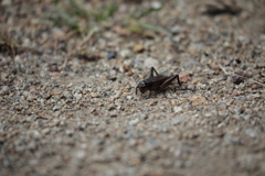 CDB5DC8C-FD4D-457F-B98D-F166B97D3F78