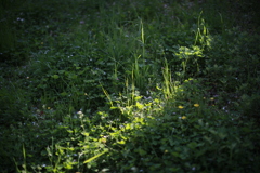 B09D1C8D-8B6F-4E21-9E72-90543A19522D