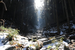 A5B316CA-EBB9-443E-81A0-A378286121EB