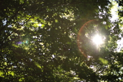 CC7E22B0-67A4-4322-8E6C-62EA21E51A08