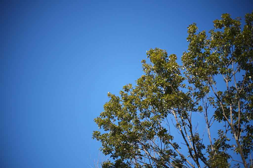 36823F18-D933-4244-818A-47CB7A0340E4