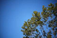 36823F18-D933-4244-818A-47CB7A0340E4