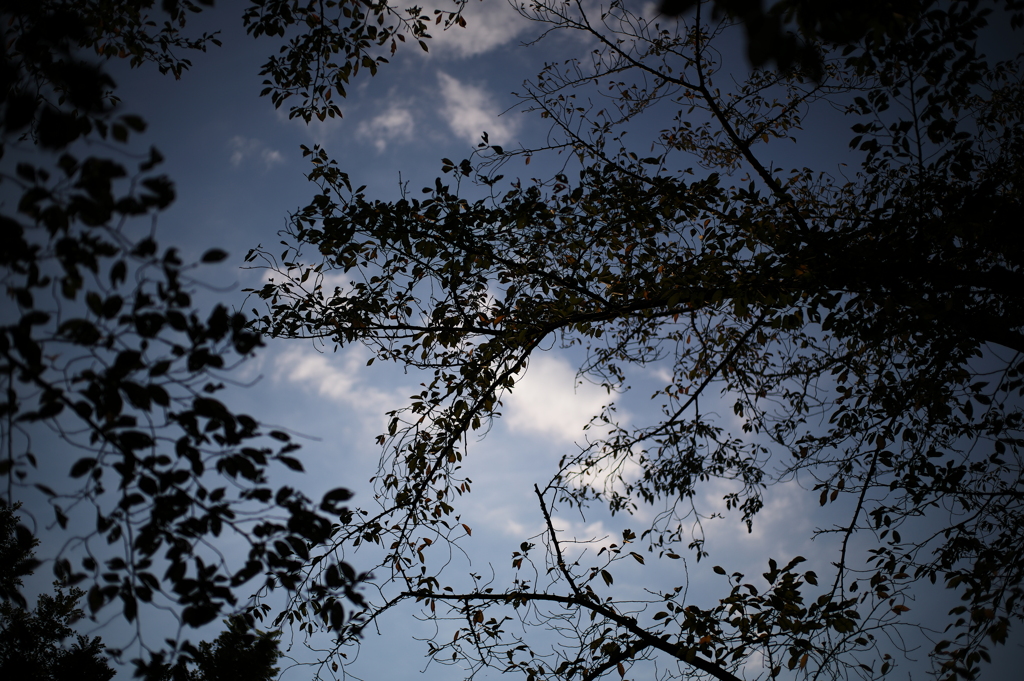 2050A343-65B6-445F-A4B4-012C226EF18A