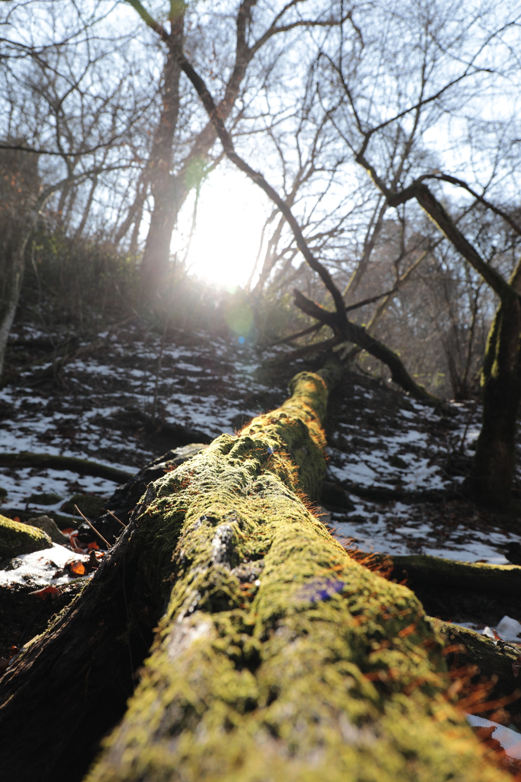 DCEE9D34-85D6-4AE0-A0D0-5ABC26BF3F26