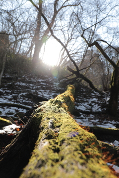 DCEE9D34-85D6-4AE0-A0D0-5ABC26BF3F26