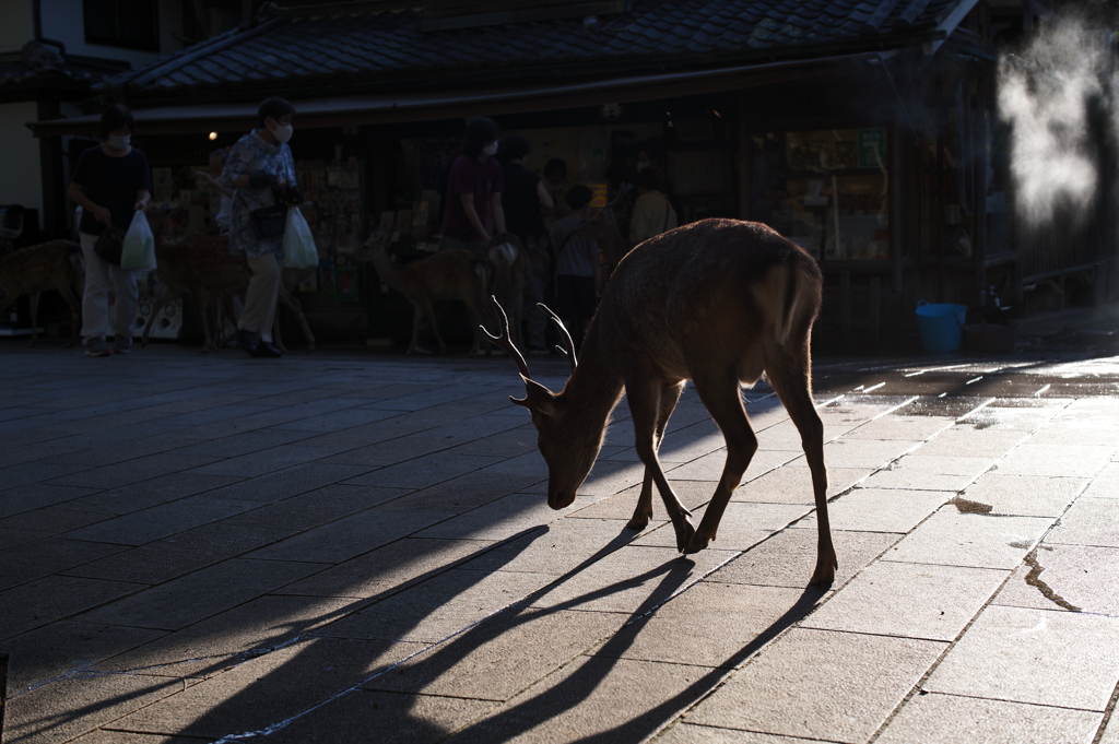 D78785E8-9E06-4310-9394-1BE88C6803EE