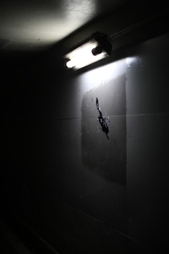 F017D00D-54F6-4CEB-82DC-FDE150B287DA