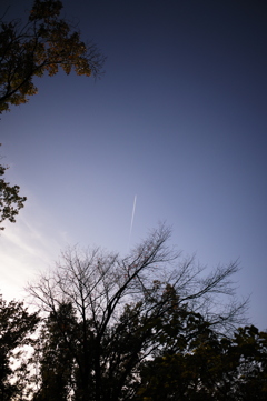 F137E527-7863-4A09-B406-EE59624D6C23