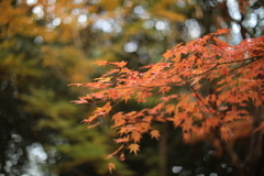 AD54B3E2-AE6F-4B33-8371-8942AF5B8402