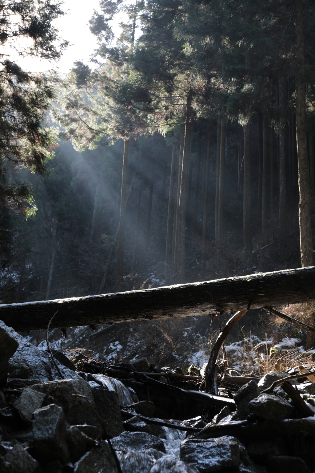 02ED8A54-CFCF-4C87-A662-8EC953FF7CB2