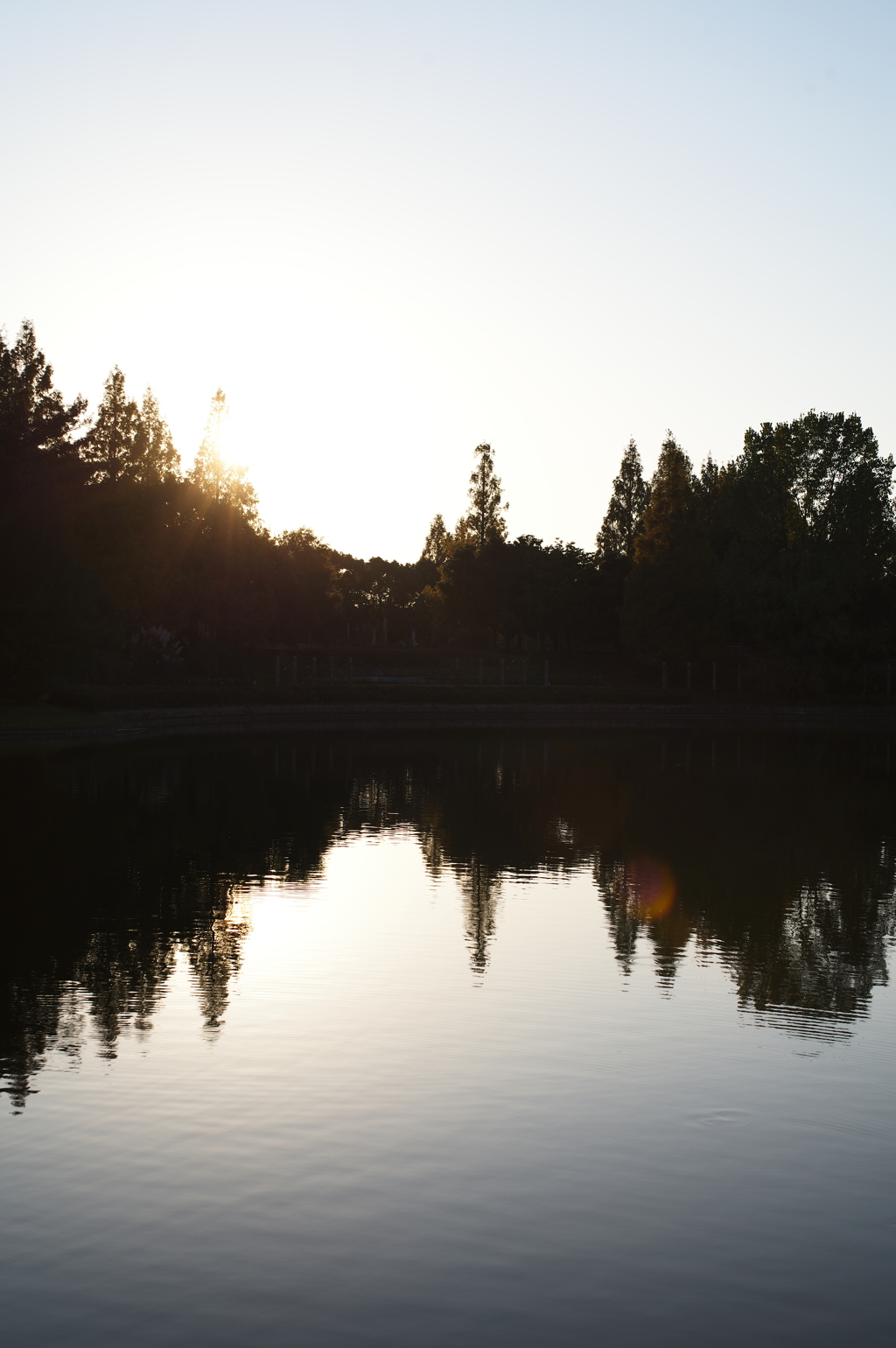 97293447-AFA4-4A61-A753-4876E619C6EF