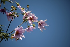 83935416-6D26-4E67-AAB9-327E1AE25CF5