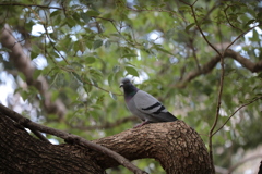 93AF2D24-B199-4A0E-9058-06E9962E4A10