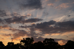 7449A6A8-3966-4783-9574-2A26AA59D1A5