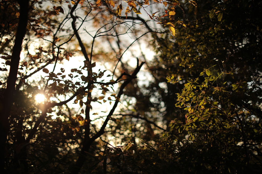 B5721445-B5A9-420C-8462-224F0C73579F