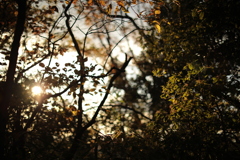 B5721445-B5A9-420C-8462-224F0C73579F