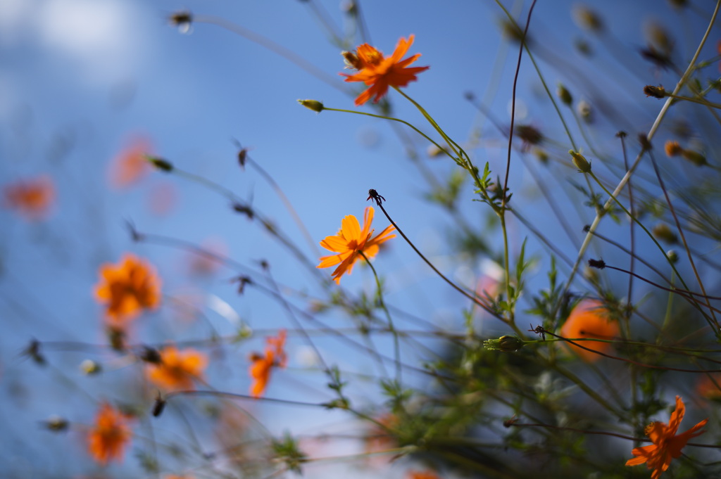 E0463212-00DE-4A75-A02F-69F85867FC44