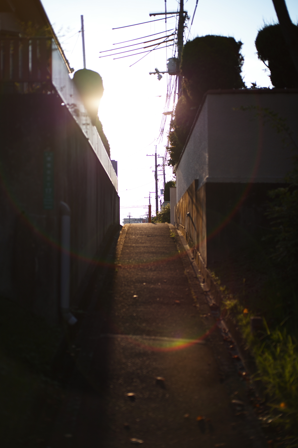 7CF224C2-3649-4968-8F4F-CB247987A768