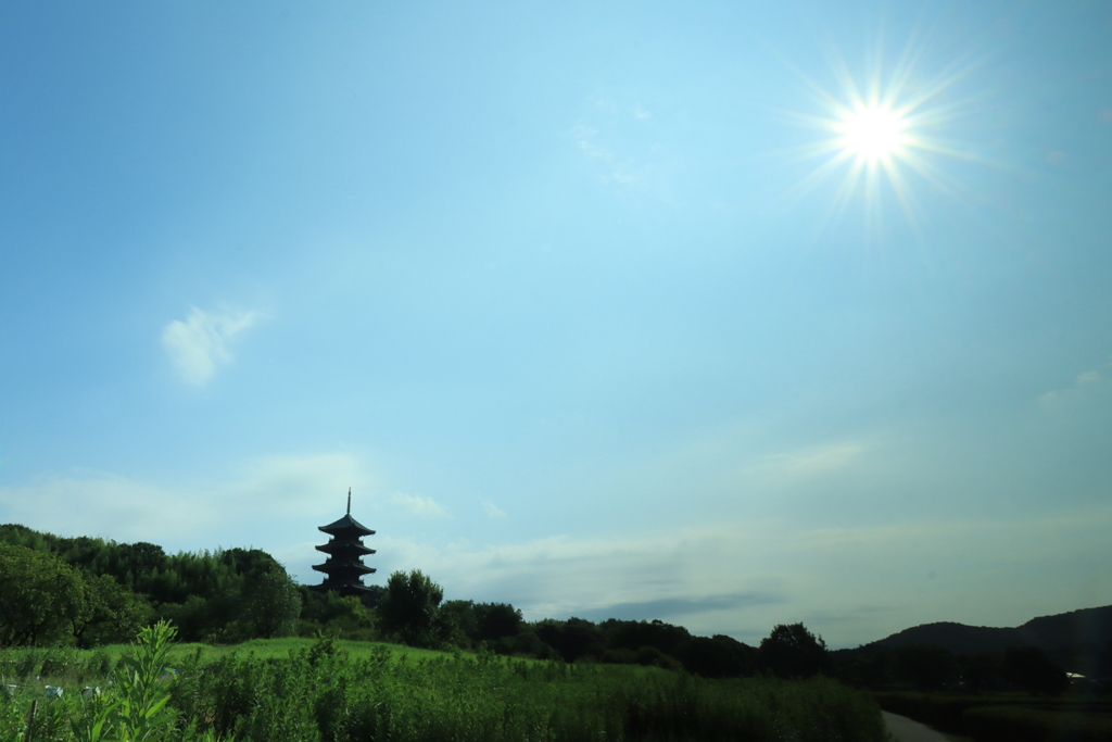 梅雨明けの五重塔
