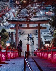 足利姫織神社　灯り物語2022