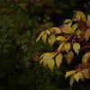 23BB9616-33FC-4525-AB09-7901D186BC1B