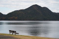 海辺の静かな公園