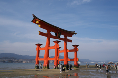 厳島神社大鳥居