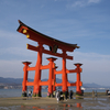 厳島神社大鳥居