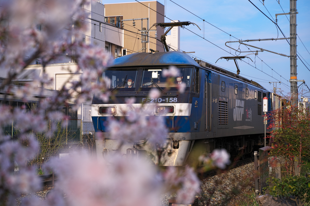 春の荷を届けに　