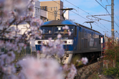 春の荷を届けに　