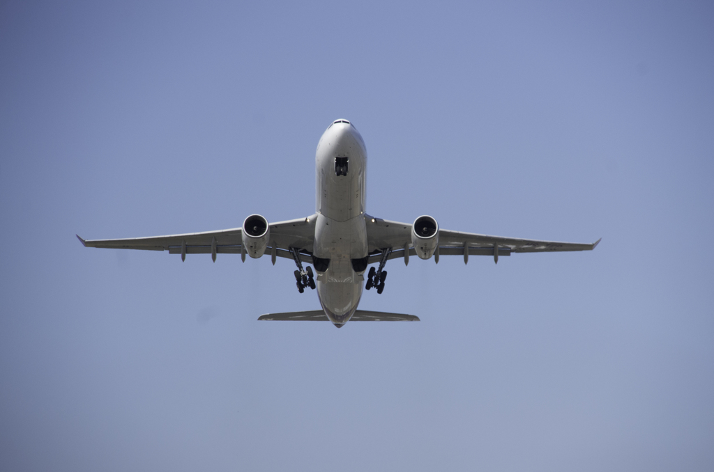とんでったよー　ハヤイヨー　ビックリダヨー