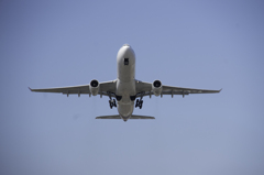 とんでったよー　ハヤイヨー　ビックリダヨー