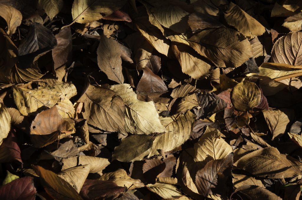 Hello Mr. Brown, how are you? 