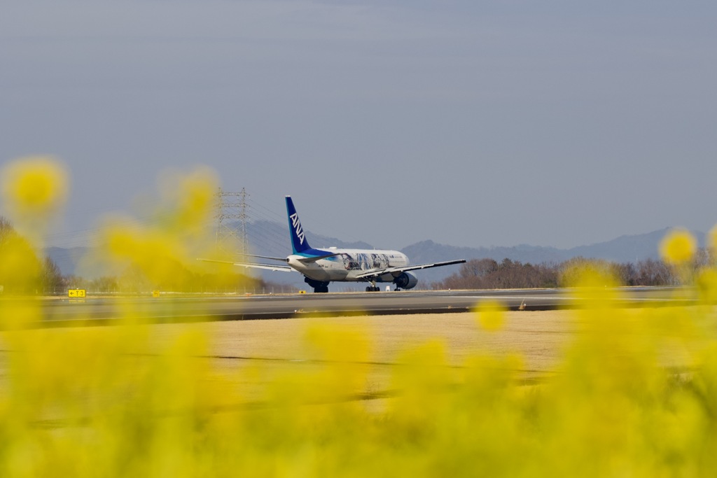 高松空港