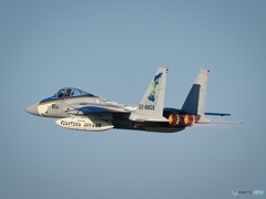 F15 スペシャルマーキング #2