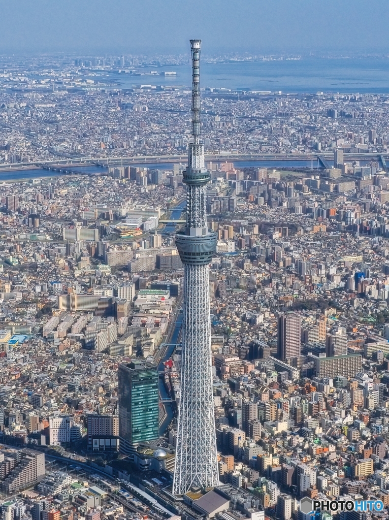 空からのスカイツリー