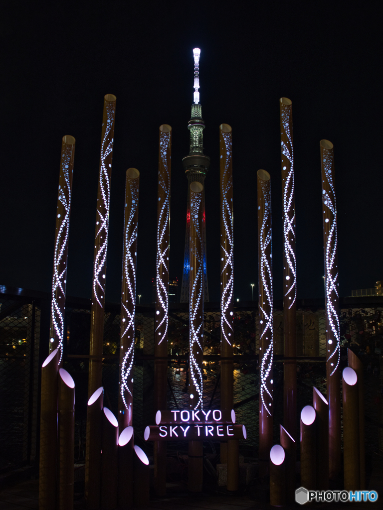 アートなツリー