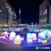 新宿冬の彩り