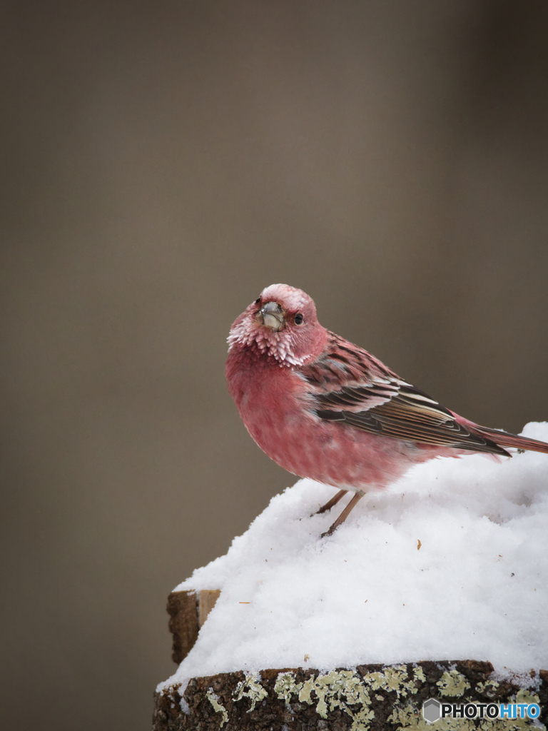 綺麗に撮れた？