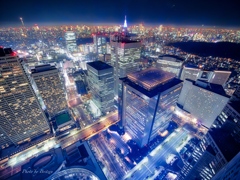 新宿摩天楼