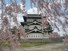 桜の城 #2