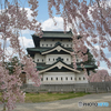 桜の城 #2