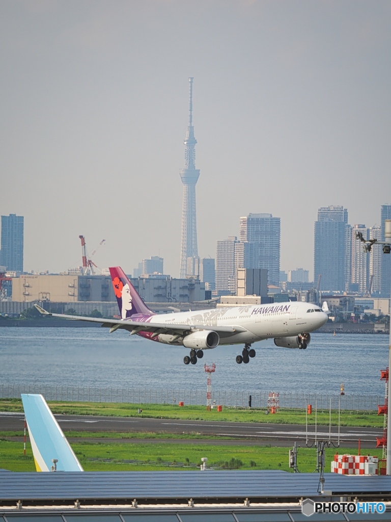 ハワイより