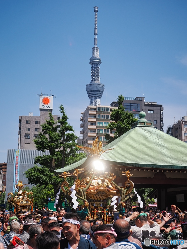 輝く神輿とスカイツリー